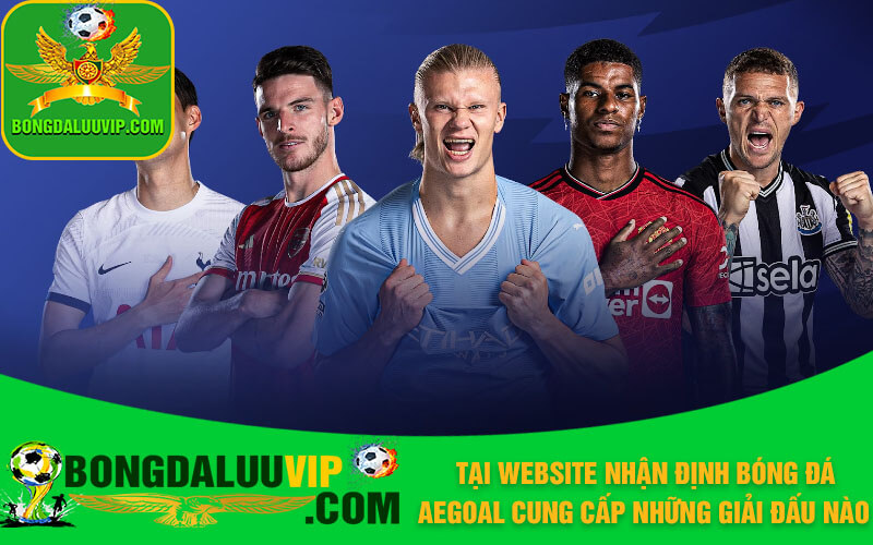 Tại website nhận định bóng đá Aegoal cung cấp những giải đấu nào
